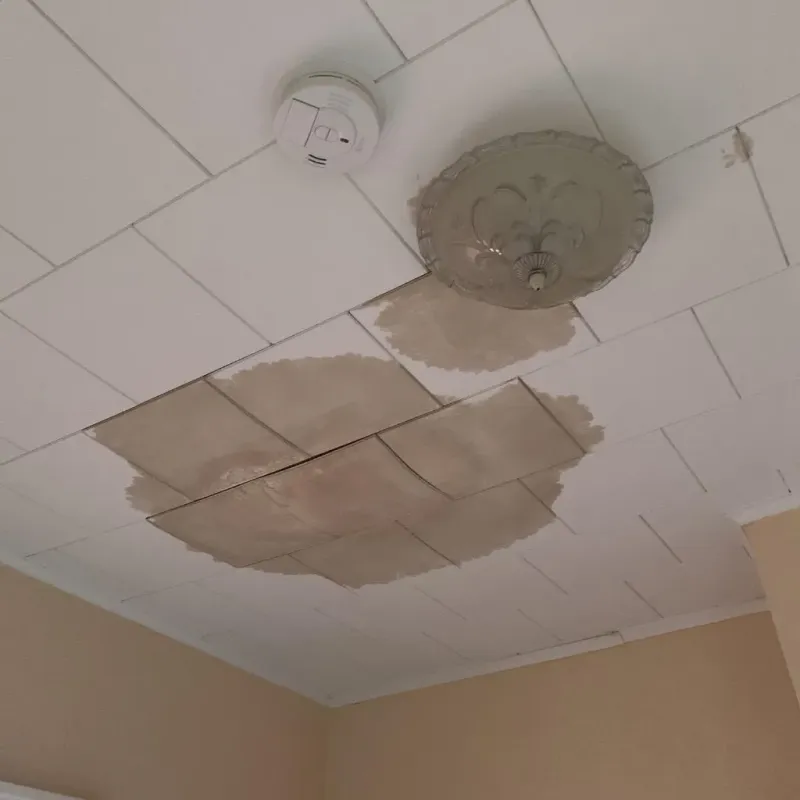 Ceiling Water Damage Repair in Saint John, KS