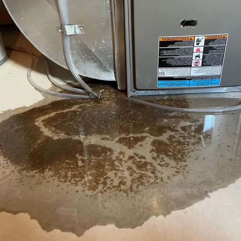 Pipe Burst and Leak Restoration in Saint John, KS