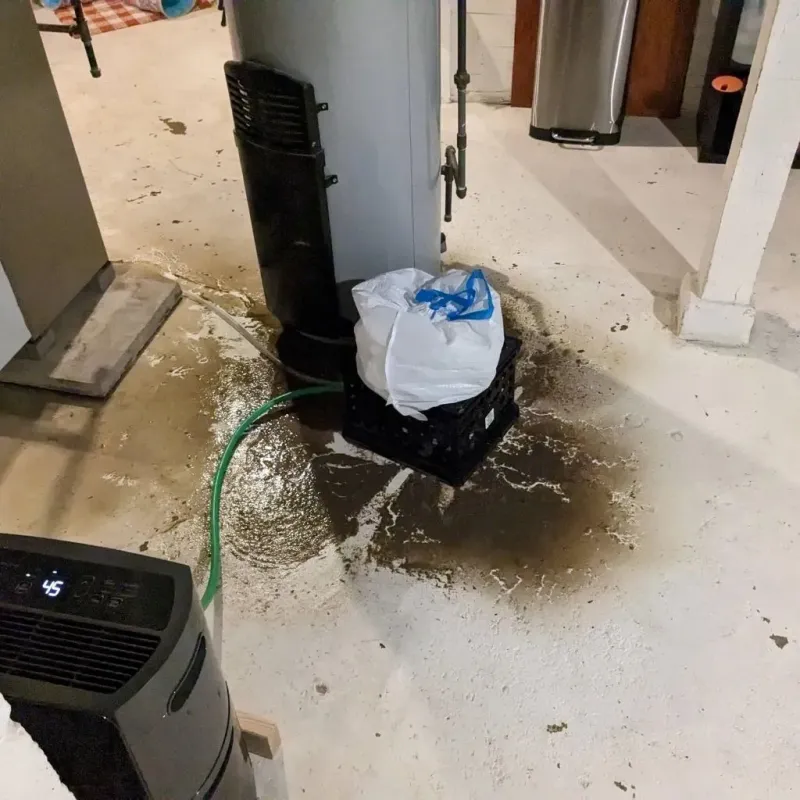 Sewage Backup Cleanup Service in Saint John, KS